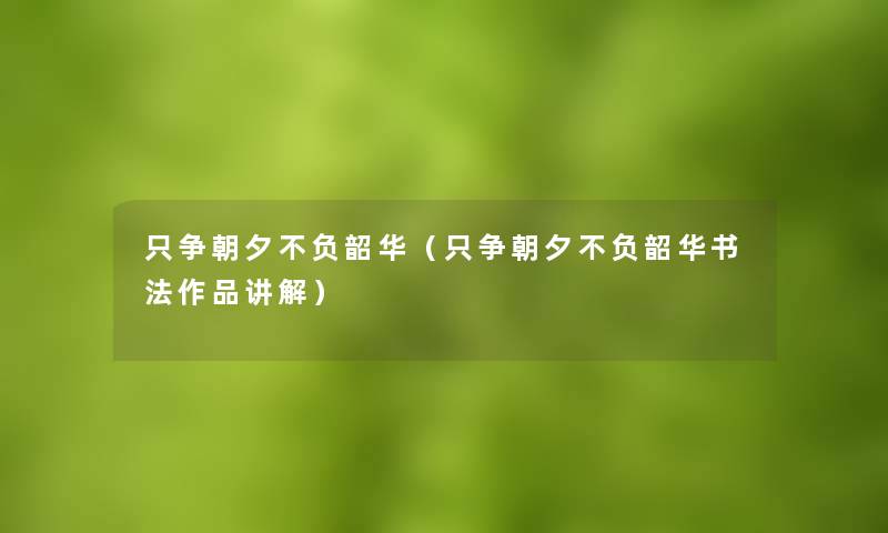 只争朝夕不负韶华（只争朝夕不负韶华书法作品讲解）