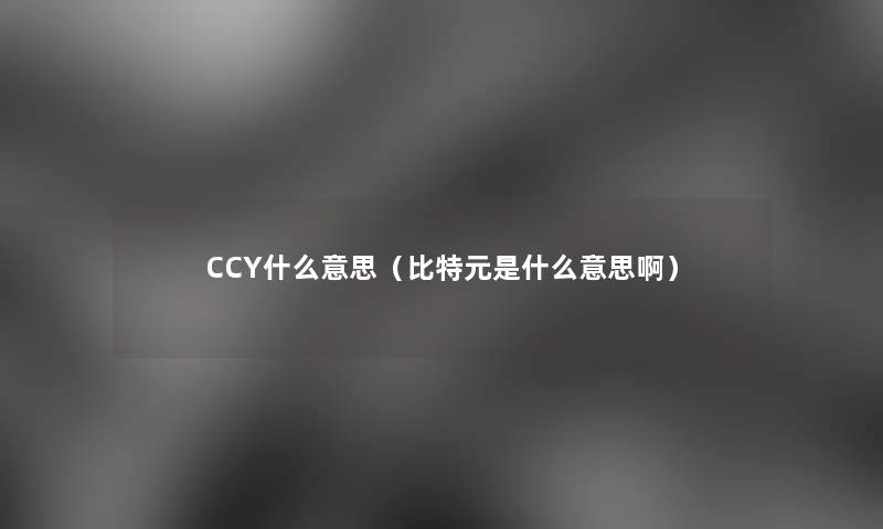 CCY什么意思（比特元是什么意思啊）