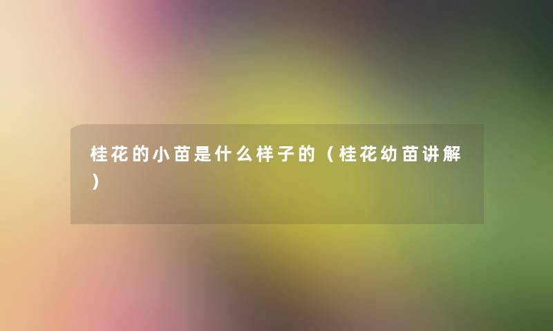 桂花的小苗是什么样子的(桂花幼苗讲解) 桂花的小苗是什么样子的(桂花幼苗讲解)
