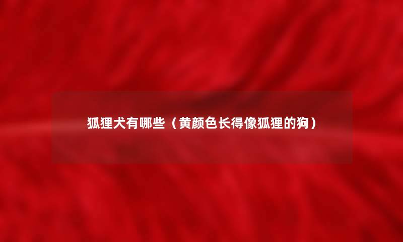 狐狸犬有哪些（黄颜色长得像狐狸的狗）