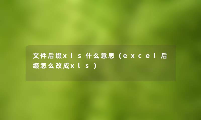 文件后缀xls什么意思(excel后缀怎么改成xls) 文件后缀xls什么意思(excel后缀怎么改成xls)