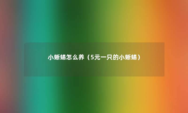 小蜥蜴怎么养（5元一只的小蜥蜴）