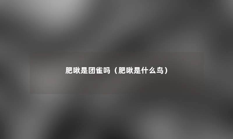 肥啾是团雀吗(肥啾是什么鸟) 肥啾是团雀吗(肥啾是什么鸟)