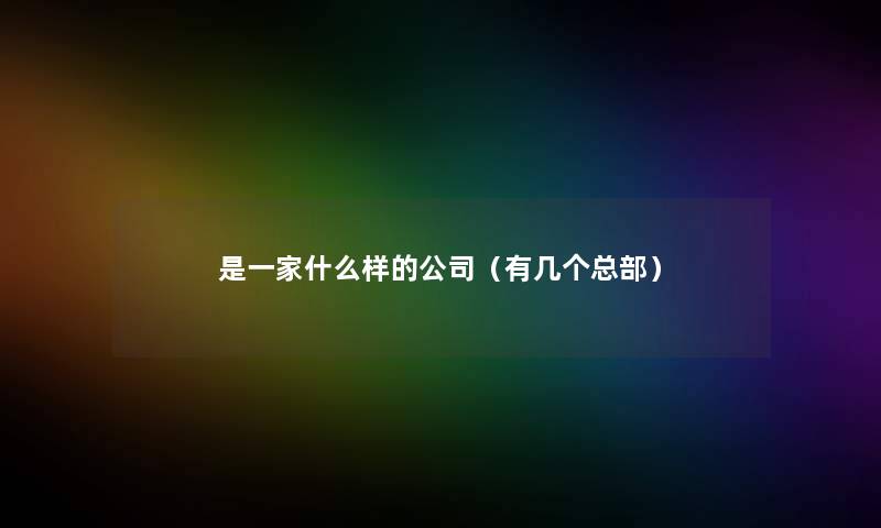 是一家什么样的公司（有几个总部）