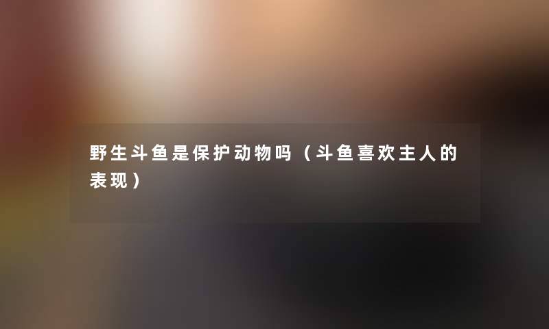 野生斗鱼是保护动物吗(斗鱼喜欢主人的表现) 野生斗鱼是保护动物吗(斗鱼喜欢主人的表现)