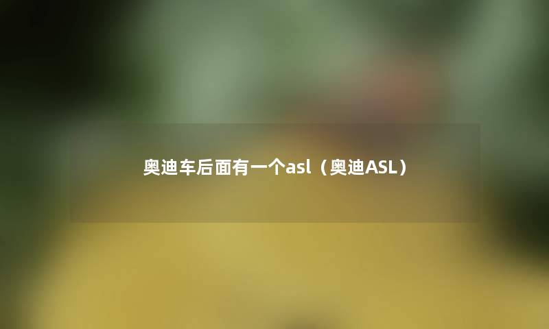 奥迪车后面有一个asl(奥迪ASL) 奥迪车后面有一个asl(奥迪ASL)
