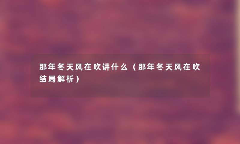 那年冬天风在吹讲什么（那年冬天风在吹结局解析）