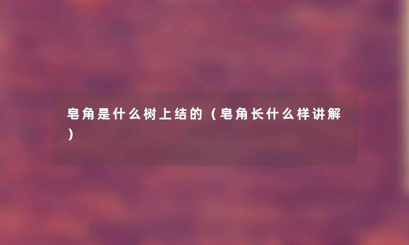 皂角是什么树上结的(皂角长什么样讲解) 皂角是什么树上结的(皂角长什么样讲解)