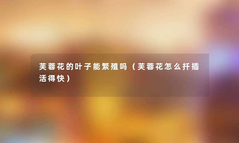 芙蓉花的叶子能繁殖吗（芙蓉花怎么扦插活得快）