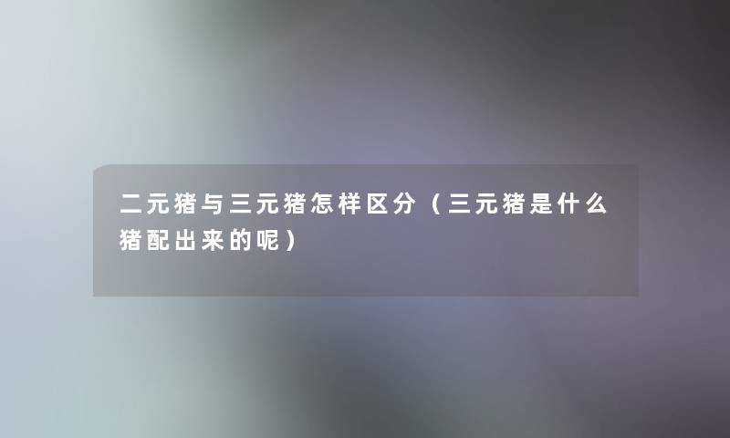 二元猪与三元猪怎样区分(三元猪是什么猪配出来的呢) 二元猪与三元猪怎样区分(三元猪是什么猪配出来的呢)
