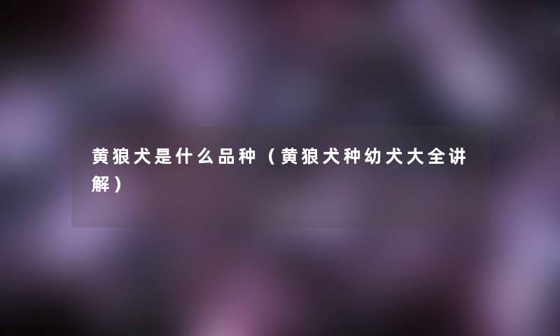 黄狼犬是什么品种(黄狼犬种幼犬大全讲解) 黄狼犬是什么品种(黄狼犬种幼犬大全讲解)