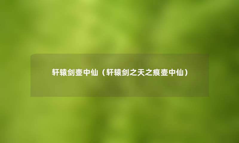 轩辕剑壶中仙(轩辕剑之天之痕壶中仙) 轩辕剑壶中仙(轩辕剑之天之痕壶中仙)