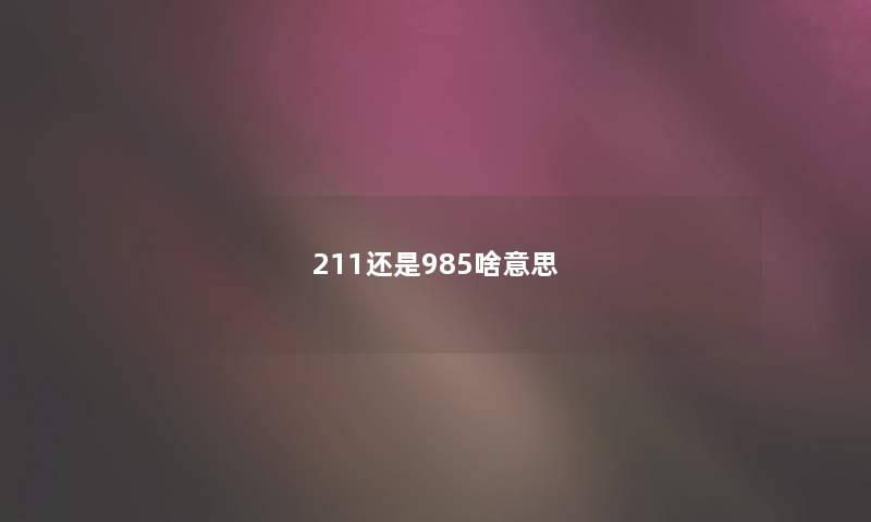 211还是985啥意思 211还是985啥意思