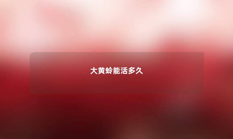 大黄蛉能活多久