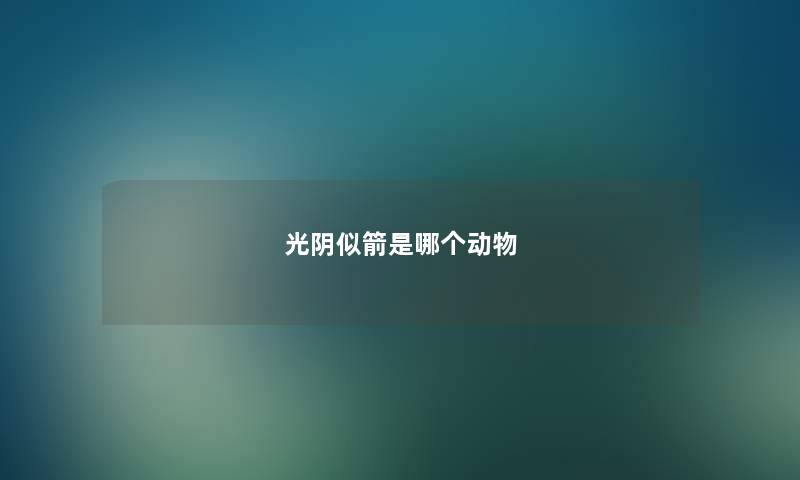 光阴似箭是哪个动物