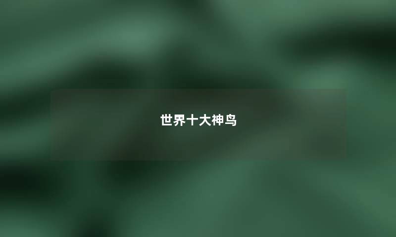 世界十大神鸟 世界十大神鸟