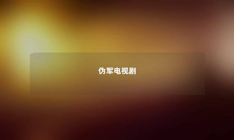 伪军电视剧