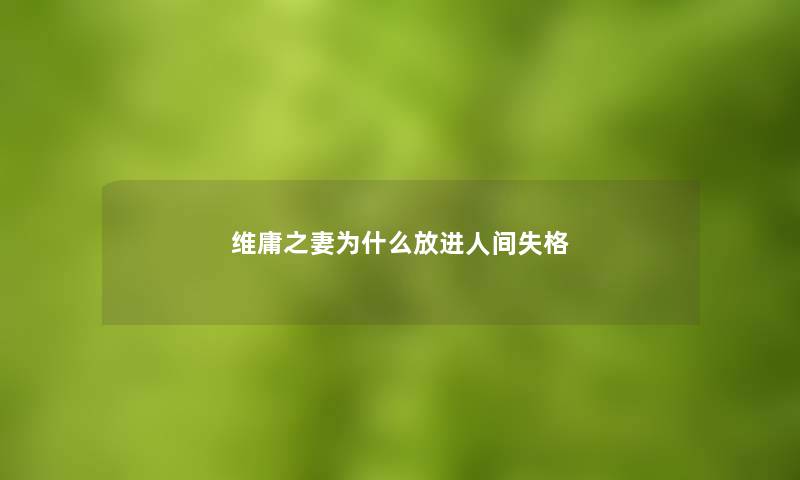 维庸之妻为什么放进人间失格