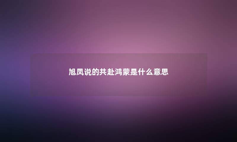 旭凤说的共赴鸿蒙是什么意思