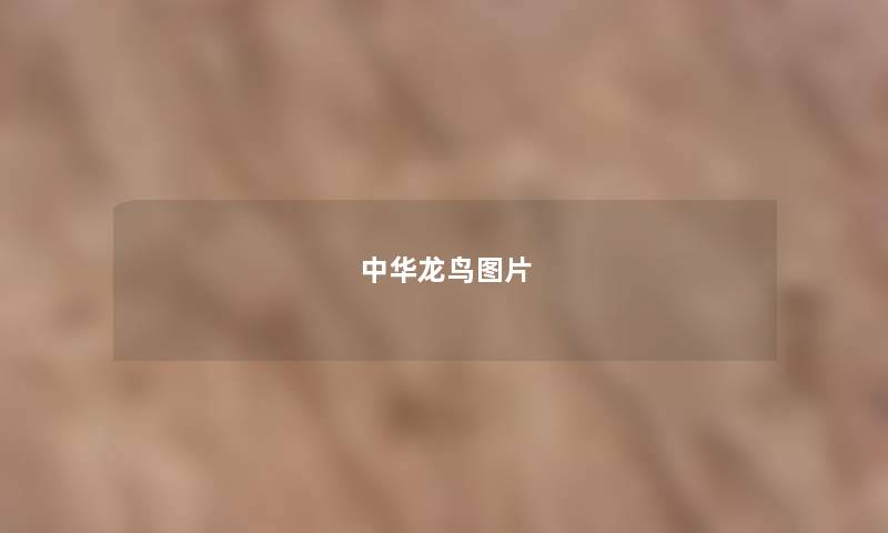中华龙鸟图片 中华龙鸟图片