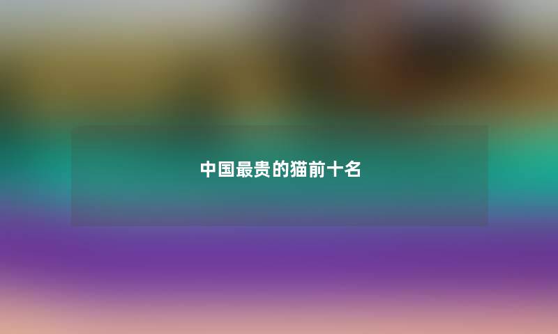 中国最贵的猫前十名