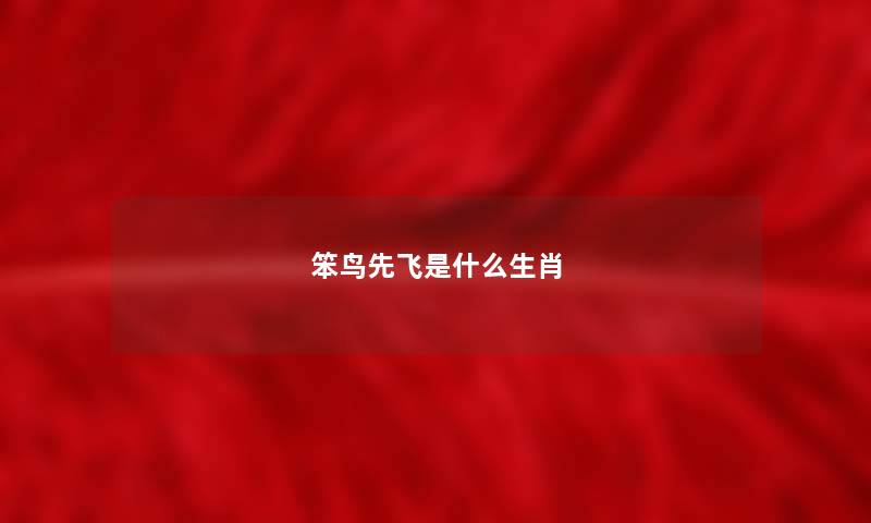 笨鸟先飞是什么生肖 笨鸟先飞是什么生肖