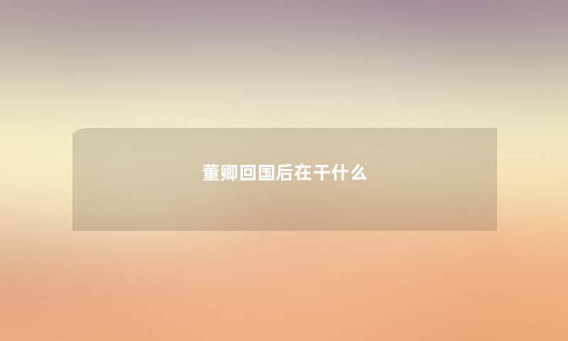 董卿回国后在干什么 董卿回国后在干什么