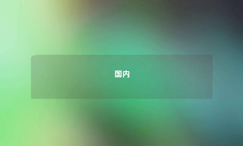 国内 国内