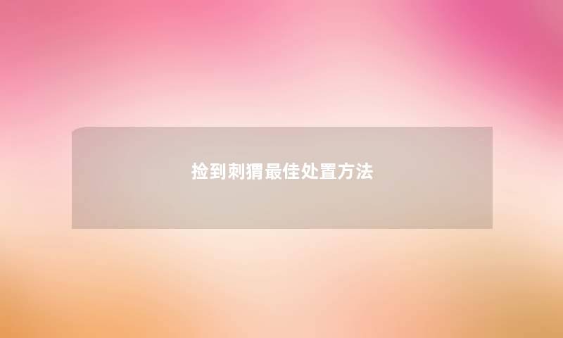 捡到刺猬最佳处置方法