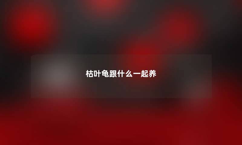枯叶龟跟什么一起养